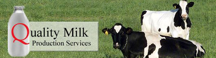Generic Banner Cows