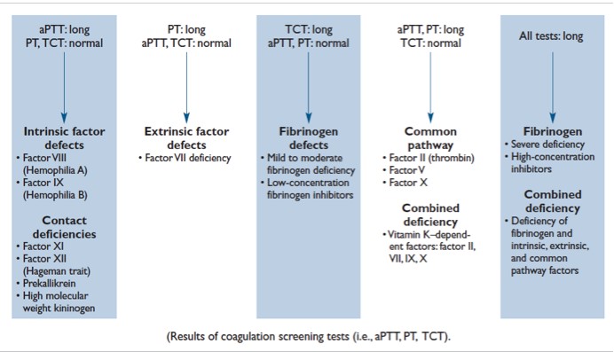 Coagulation Algorithms Diagram