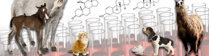 cornell diagnostic lab tick test cornell diagnostic lab tick test
