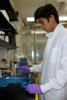Student at lab station